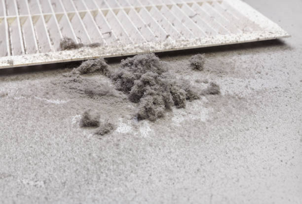 Best Best Air Duct Cleaning Company  in Moreland, ID